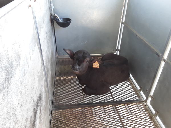 20180413_Paestum (25)