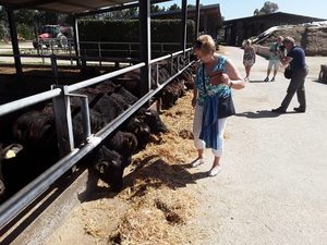 20180413_Paestum (26)