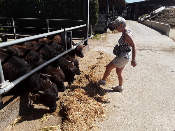 20180413_Paestum (27)