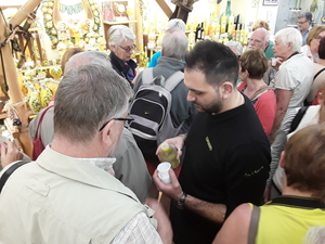 20180417_Sorrento (23)