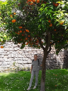 20180417_Sorrento (30)