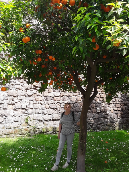 20180417_Sorrento (30)