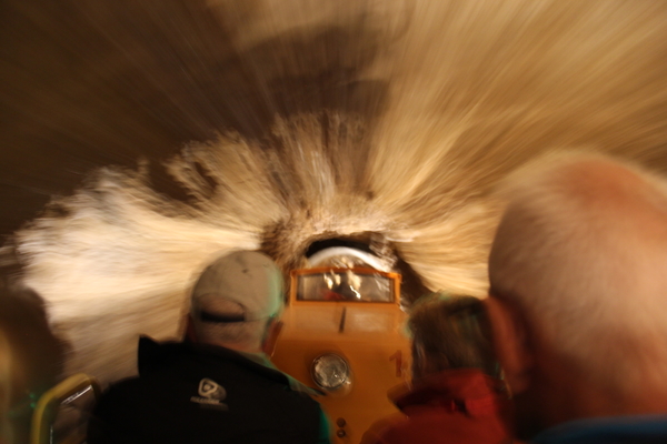 postojna vanja hugo (2)