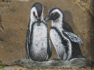 penguins-2736241_960_720