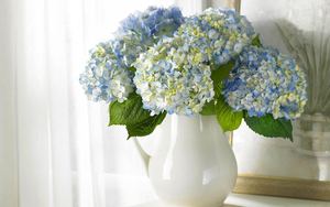 hd-bloemen-wallpaper-met-een-blauwe-hortensia-in-een-vaas-bloemen