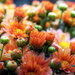 hd-bloemen-achtergrond-met-een-scherm-vol-oranje-madeliefjes-wall