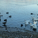 P1080014