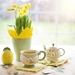 daffodils-1316127_960_720