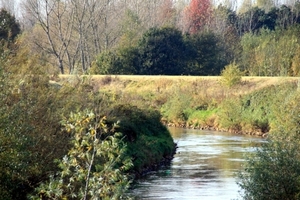 demer 019 (800 x 533)