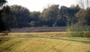 demer 022 (800 x 460)