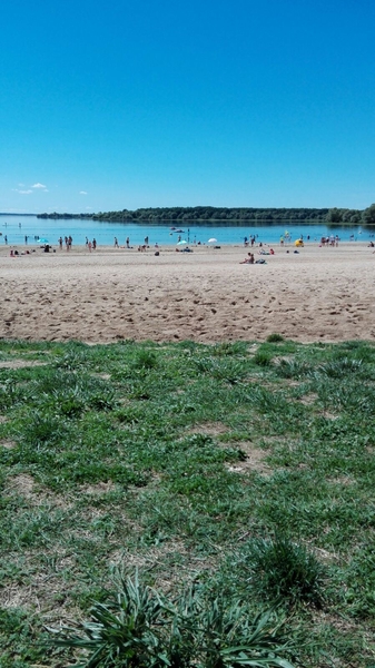 IMG-20170814-WA0001