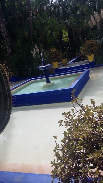 20170827_124618