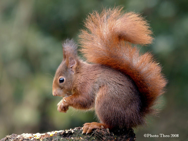 3680-67d471bb020e74a4ce08528e76561f6a