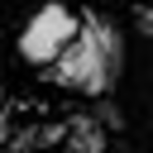 211898_1017470902_1880634922_q