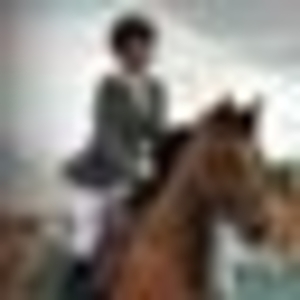 1118821_1052611632_745241409_q