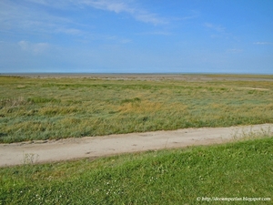 De zee in de verte.