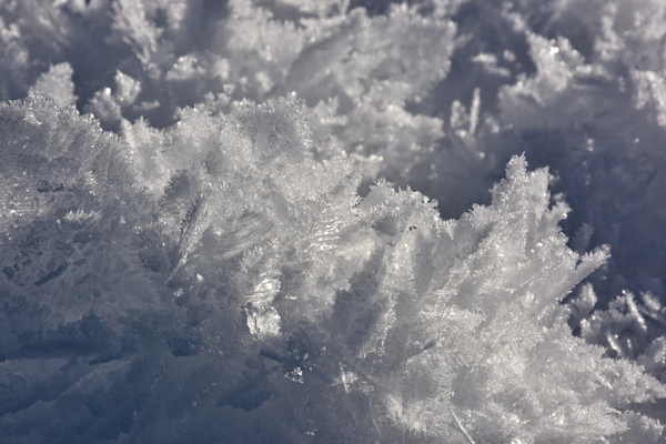 DSC_0174 Sneeuw
