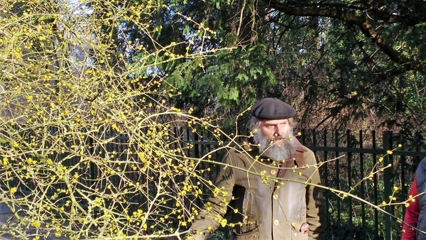 2018_02_04 Stadspark Aalst 08