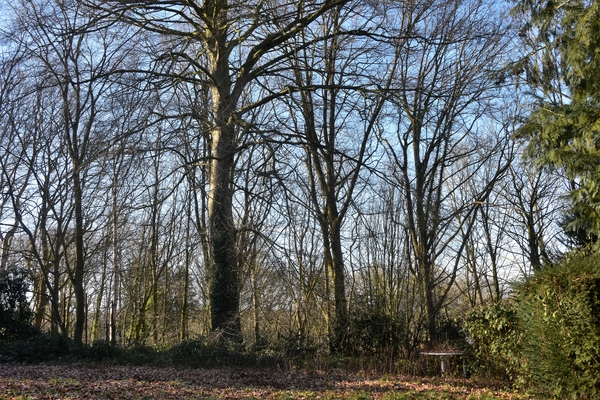 DSC_2184