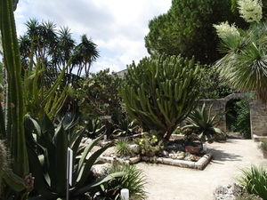 2B Botanische tuin _099