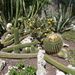 2B Botanische tuin _112