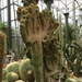 2B Botanische tuin _119