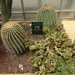 2B Botanische tuin _125