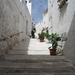 6A Ostuni _503