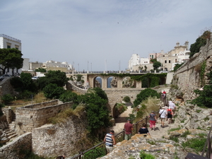 6C Polignano_a_mare _538