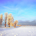 hd-winter-achtergrond-met-een-winter-landschap-met-veel-sneeuw-en