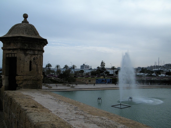 Mallorca reisduiveltje