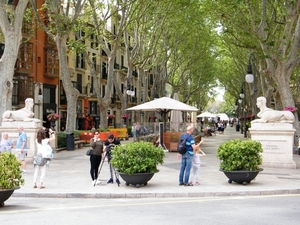 2018_04_25 Mallorca 105 Passeig del Born