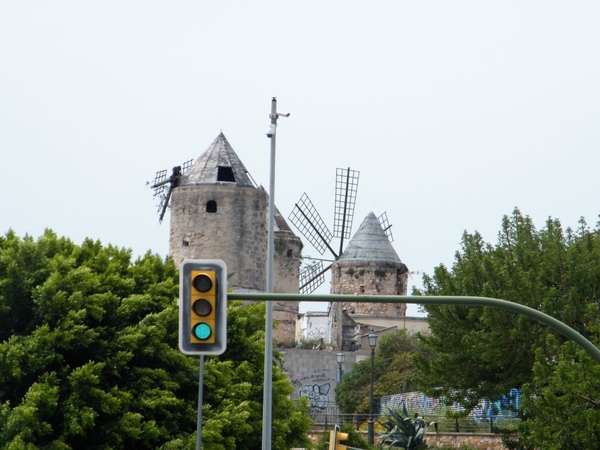 2018_04_25 Mallorca 141