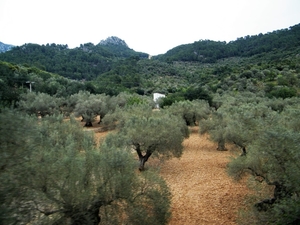 2018_04_25 Mallorca 167