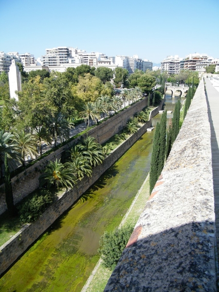 Mallorca reisduiveltje