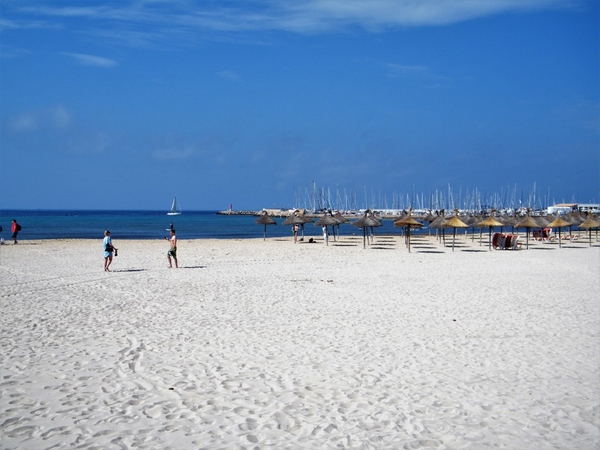 Mallorca reisduiveltje