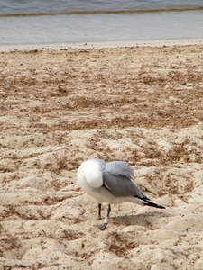 2018_04_28 Mallorca 019