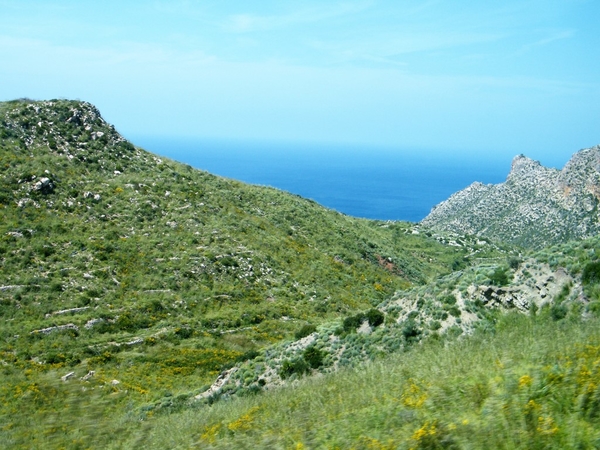 Mallorca reisduiveltje