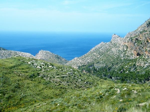 Mallorca reisduiveltje