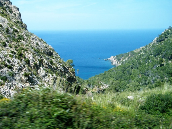 Mallorca reisduiveltje