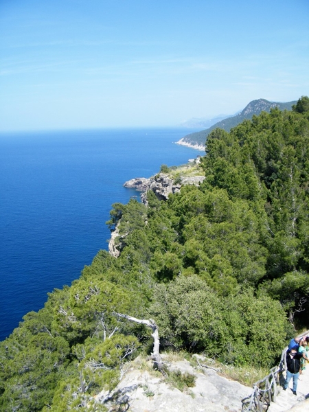 Mallorca reisduiveltje