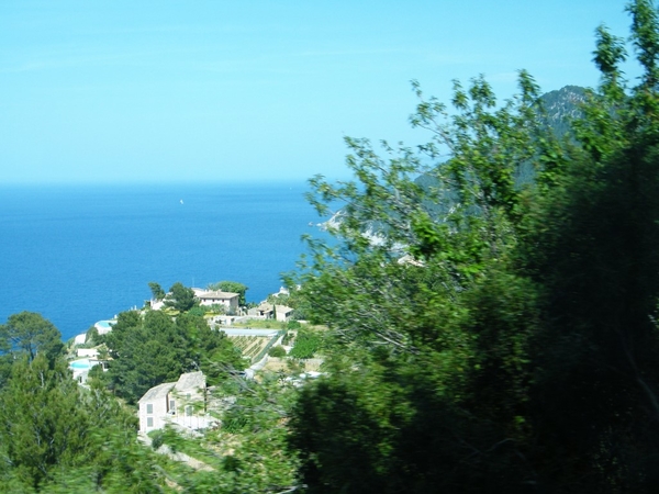 Mallorca reisduiveltje