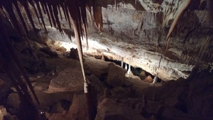 2018_04_29 Mallorca 015
