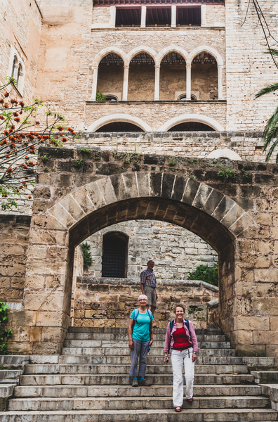 Mallorca reisduiveltje