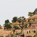 122-2018-04-25 Valldemossa-8731