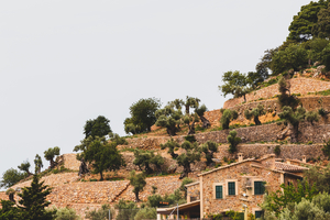 122-2018-04-25 Valldemossa-8731