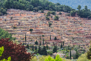 123-2018-04-25 Valldemossa-8738