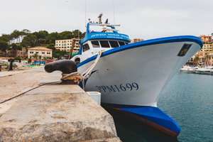 215-2018-04-26 Port de Soller-8933