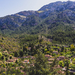 310-2018-04-27 Stappen  Deia nr Soller-9078