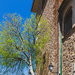 311-2018-04-27 Stappen  Deia nr Soller-9068